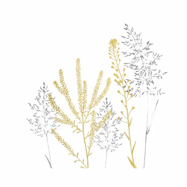 ⁦מפיות זהב אלגנטי - BRAUN+COMPANY⁩ – תמונה ⁦2⁩